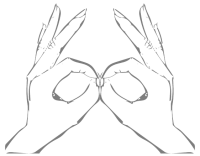 Hands